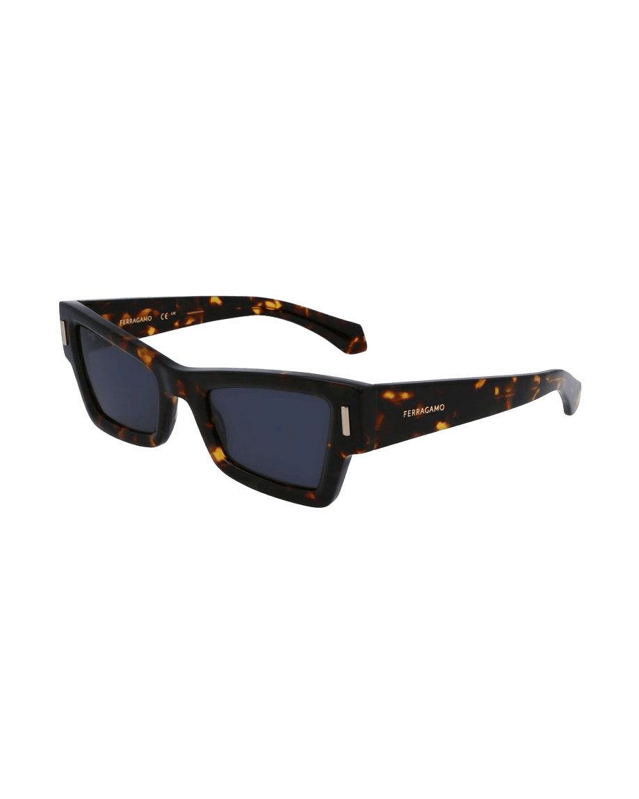 Salvatore Ferragamo Brown Acetate Sunglasses Sunglasses