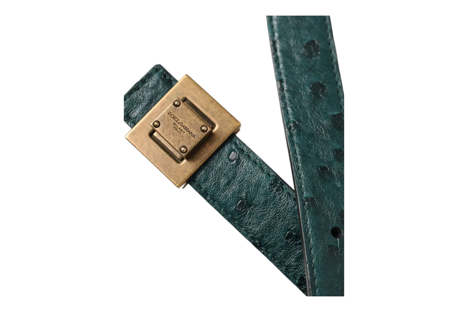 Dolce & Gabbana Belts in green — view 5