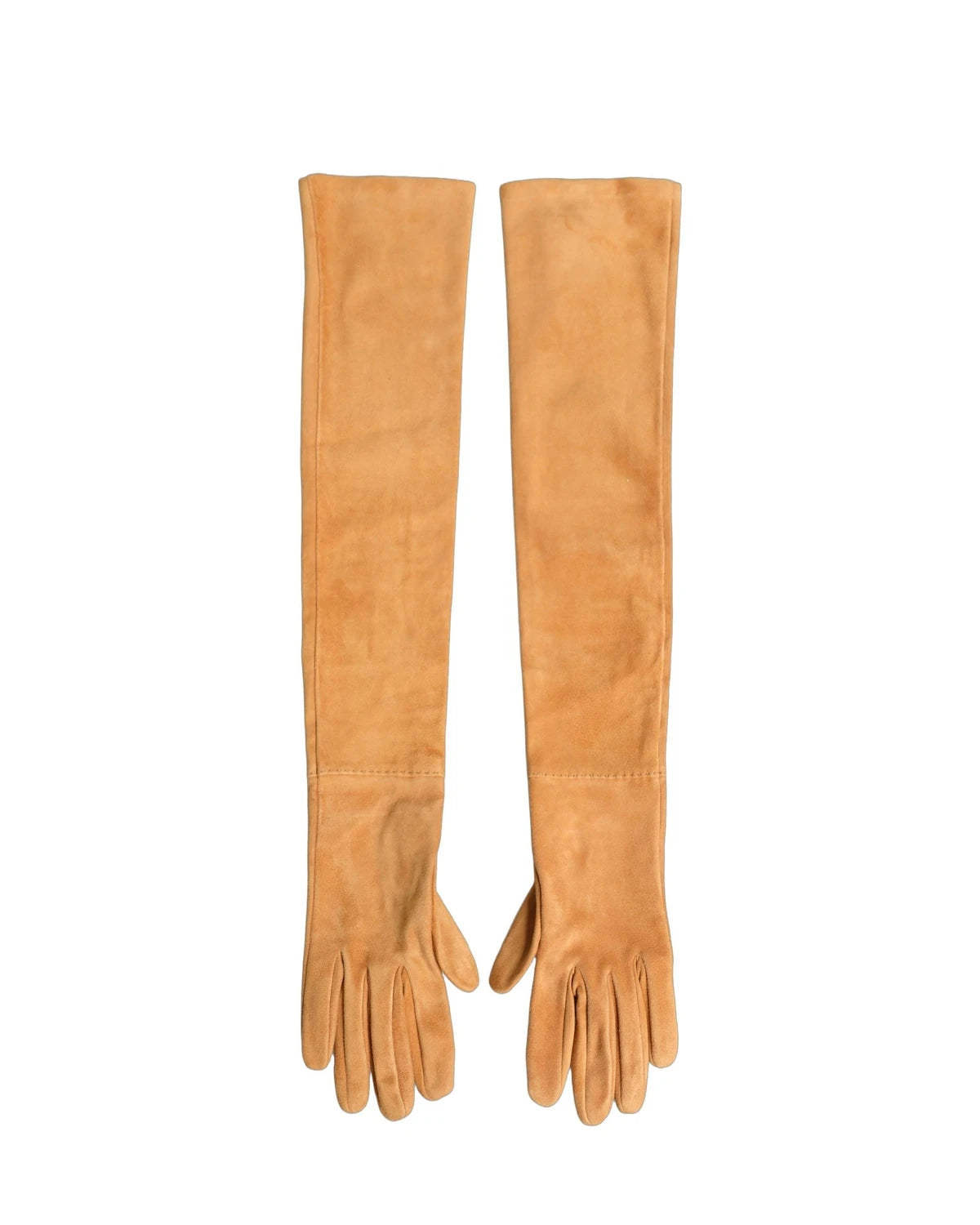 Dolce & Gabbana Gloves & Mitten in beige, Genuine Leather
