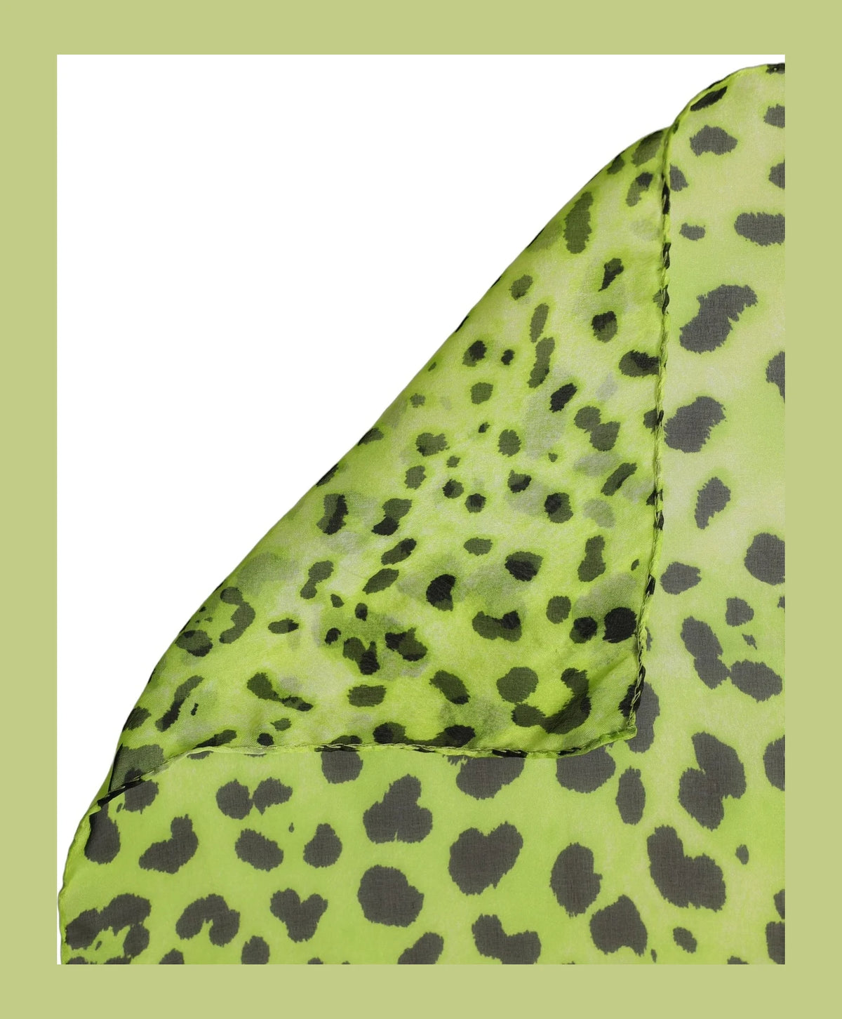 Dolce & Gabbana Scarves & Shawl in green, Silk — view 2