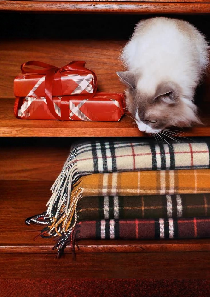 Complete Your Christmas Look with Statement Bags, Scarves & Heels