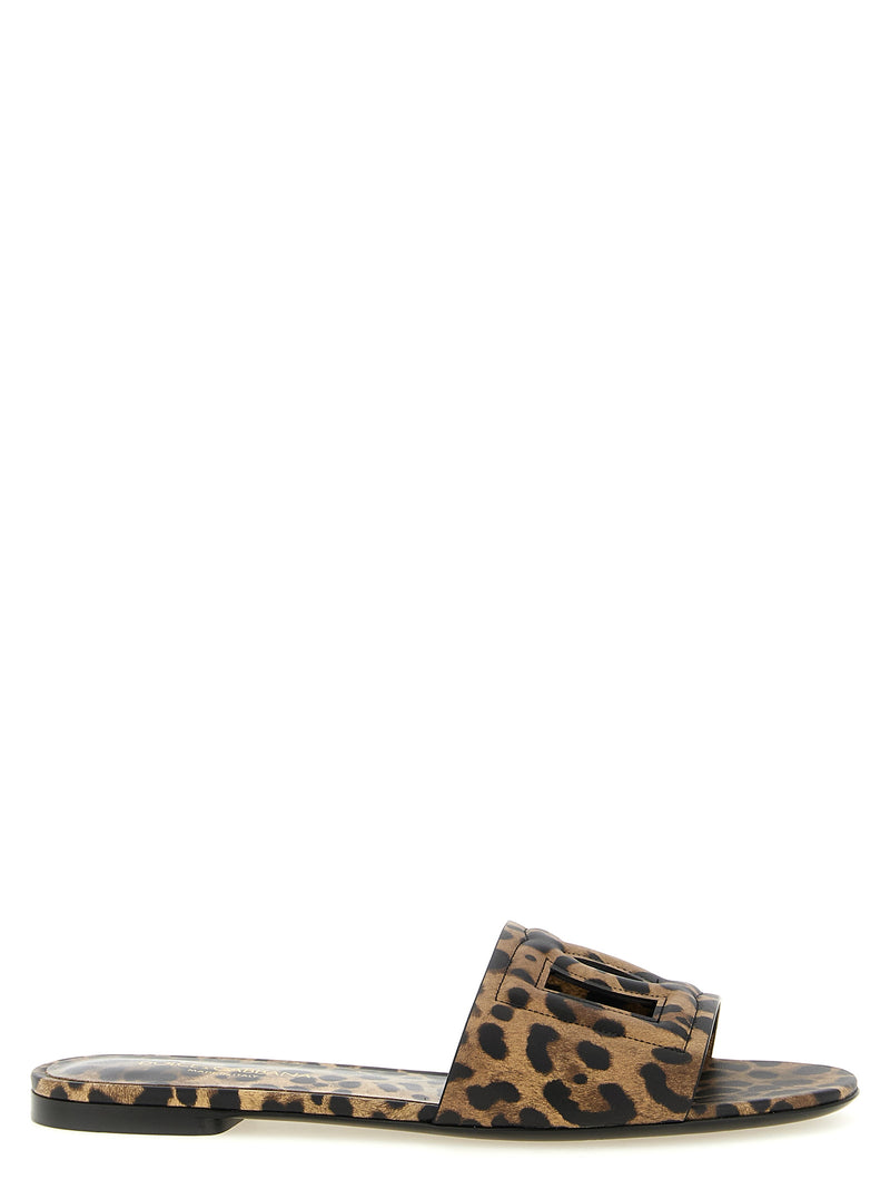 Dolce & Gabbana Brown Slides