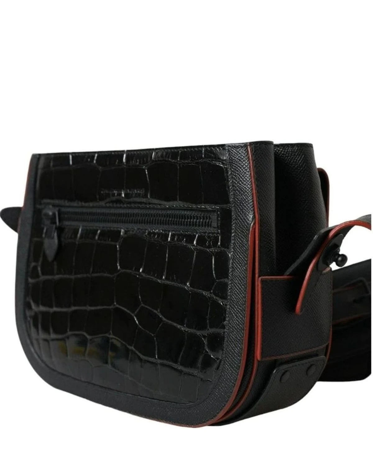 Balenciaga Elegant Exotic Leather Camera Bag Handbags