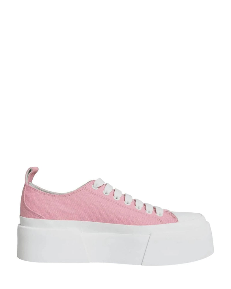 Dolce & Gabbana Pink Canvas Logo Low Top Sneakers Shoes Sneakers