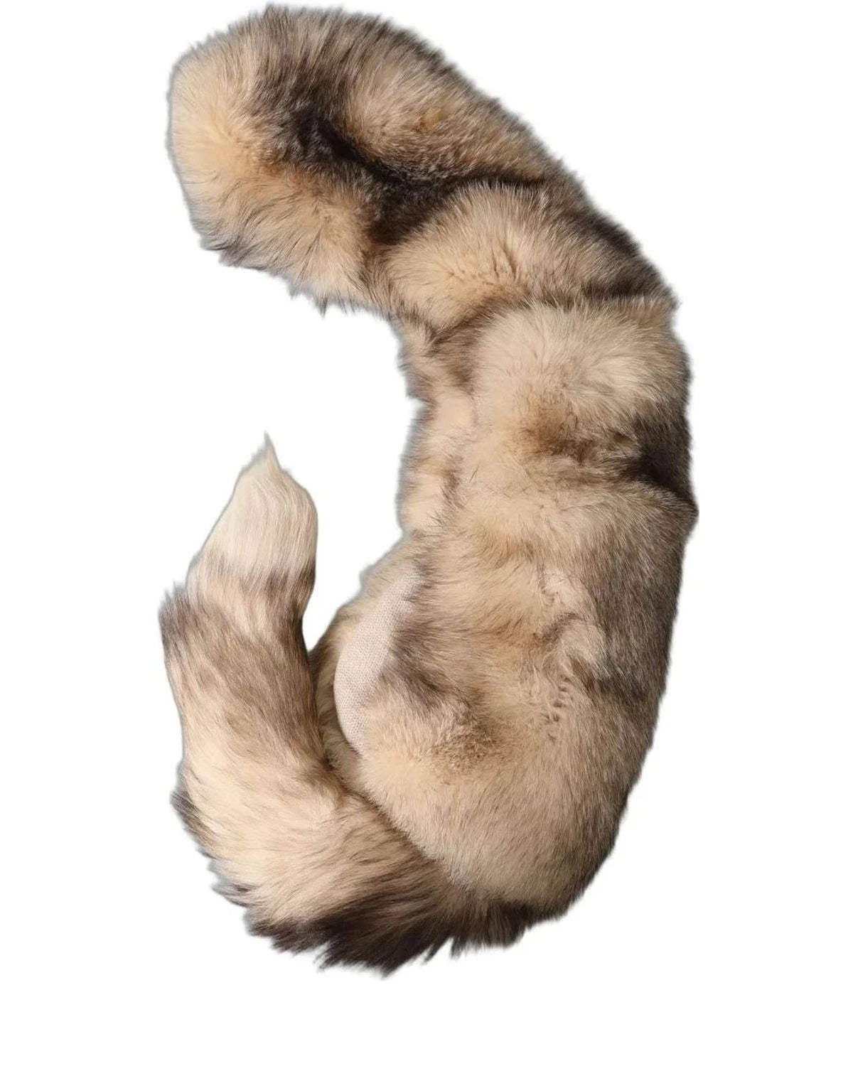 Dolce & Gabbana Scarves & Shawl in brown, Cashmere — view 3