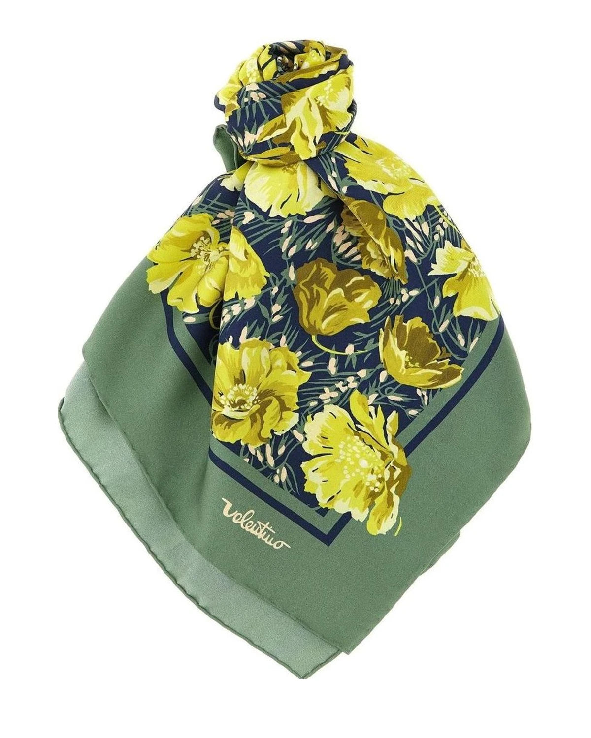 Valentino Garavani Scarves & Shawl in green, Silk