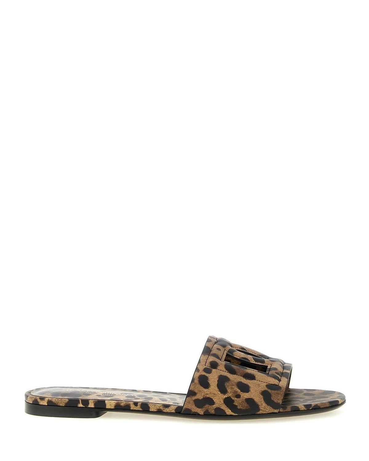 Dolce & Gabbana Brown Slides