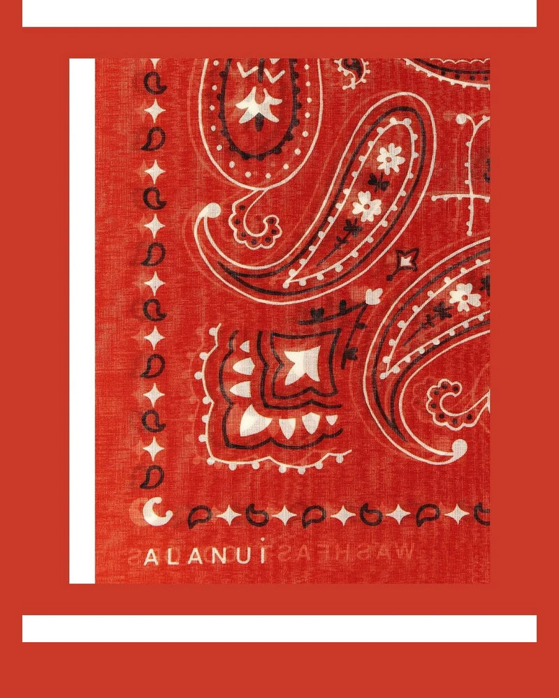 Alanui Scarves & Shawl in red, Cotton — view 3