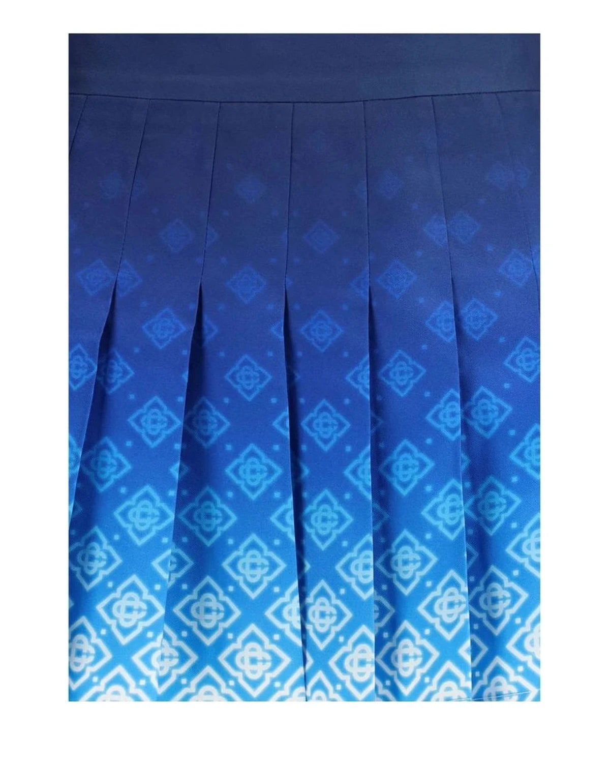 Casablanca Skirt in blue, Silk — view 3