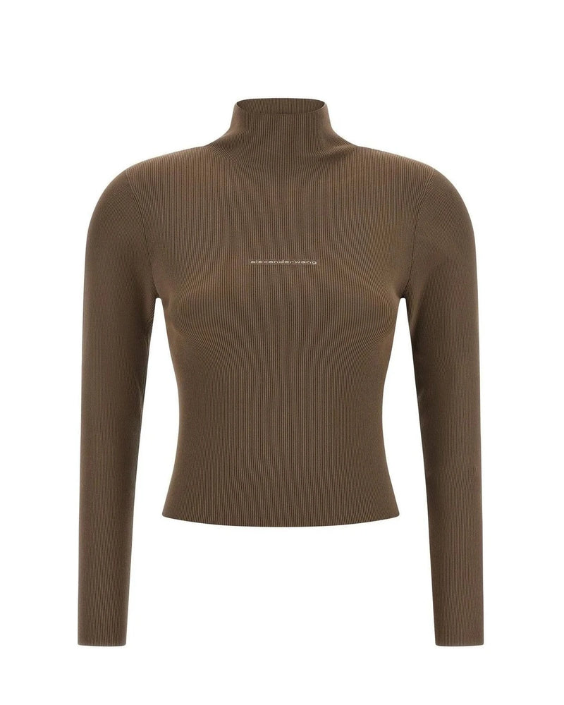 Alexander Wang Sweater in beige