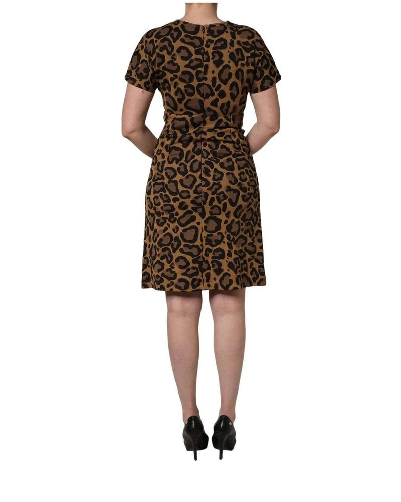 Dolce & Gabbana Dresse in brown, Polyester — view 6