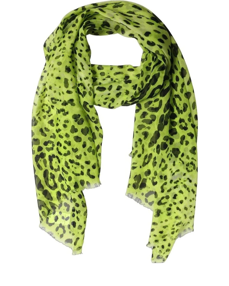 Dolce & Gabbana Scarves & Shawl in green, Silk