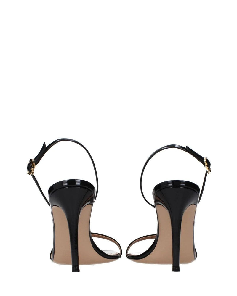 Gianvito Rossi Sandals in black — view 5