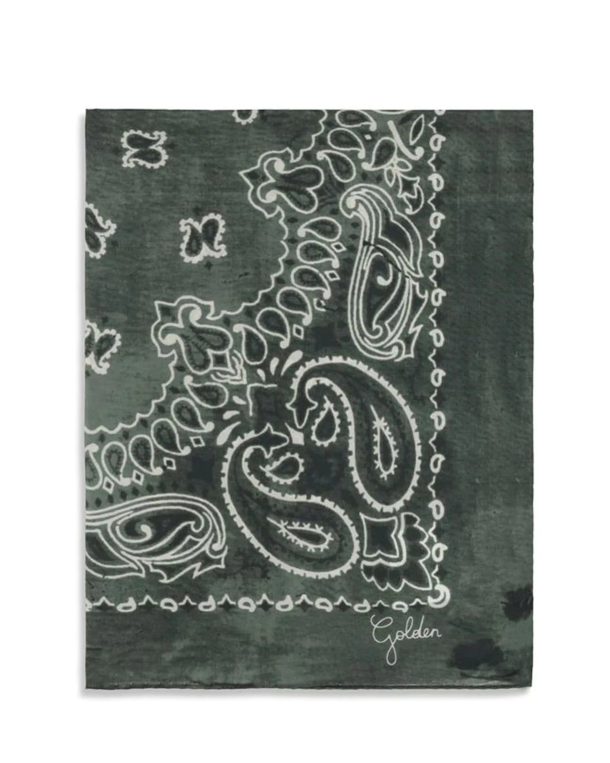 Golden Goose Scarves & Shawl in green, Silk