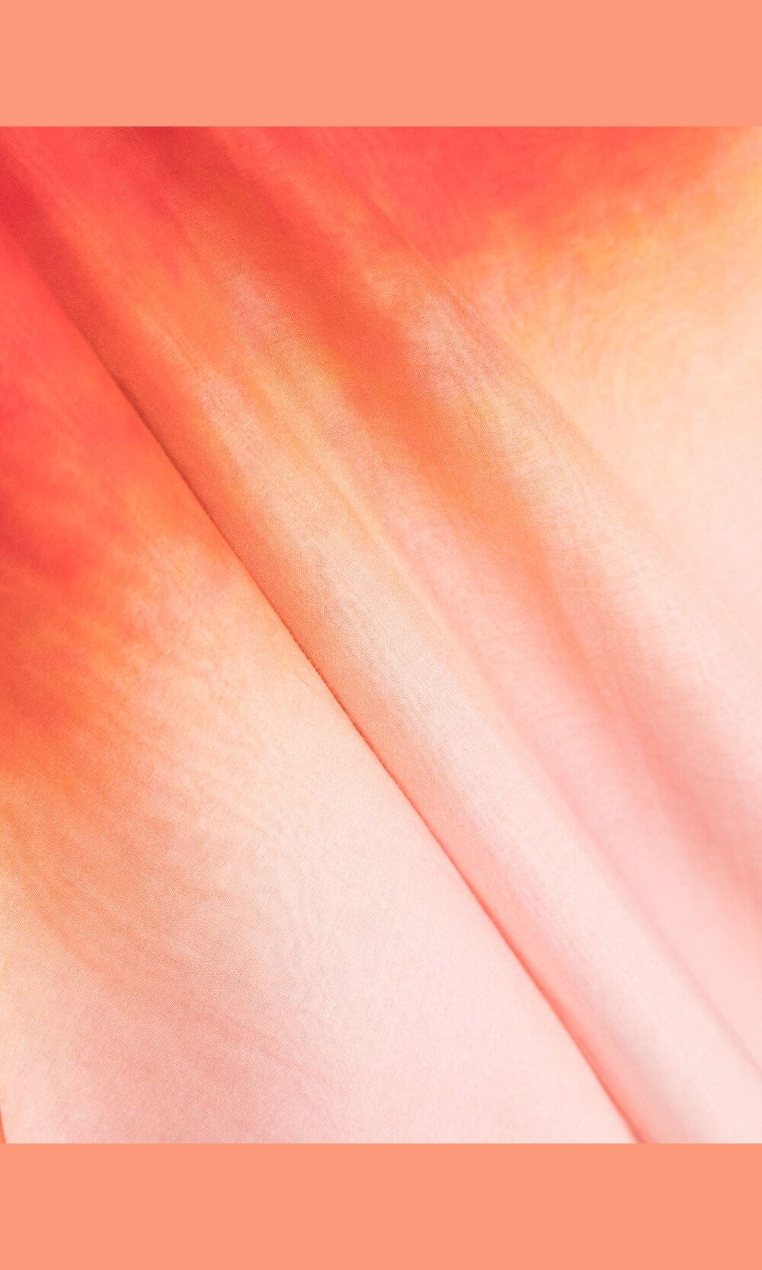 Alexander Mcqueen Gradient Effect Logo Scarf Glam Steals
