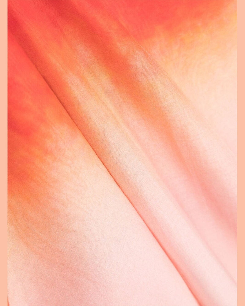 Alexander Mcqueen Gradient Effect Logo Scarf Glam Steals