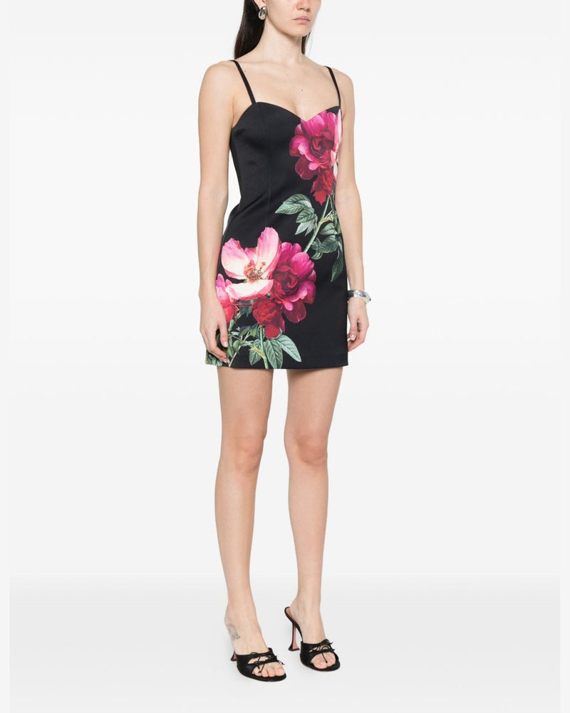 Alice + Olivia Black Dress Glam Steals