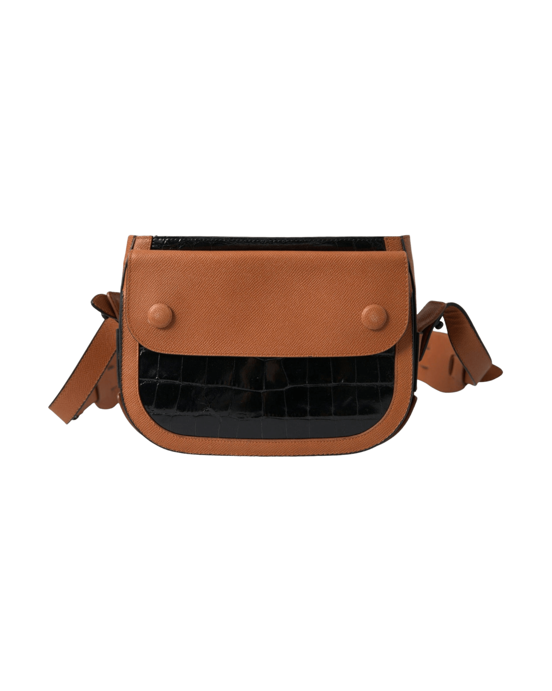 Balenciaga Elegant Crocodile Leather Camera Bag Glam Steals