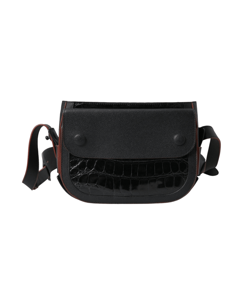 Balenciaga Elegant Exotic Leather Camera Bag Glam Steals