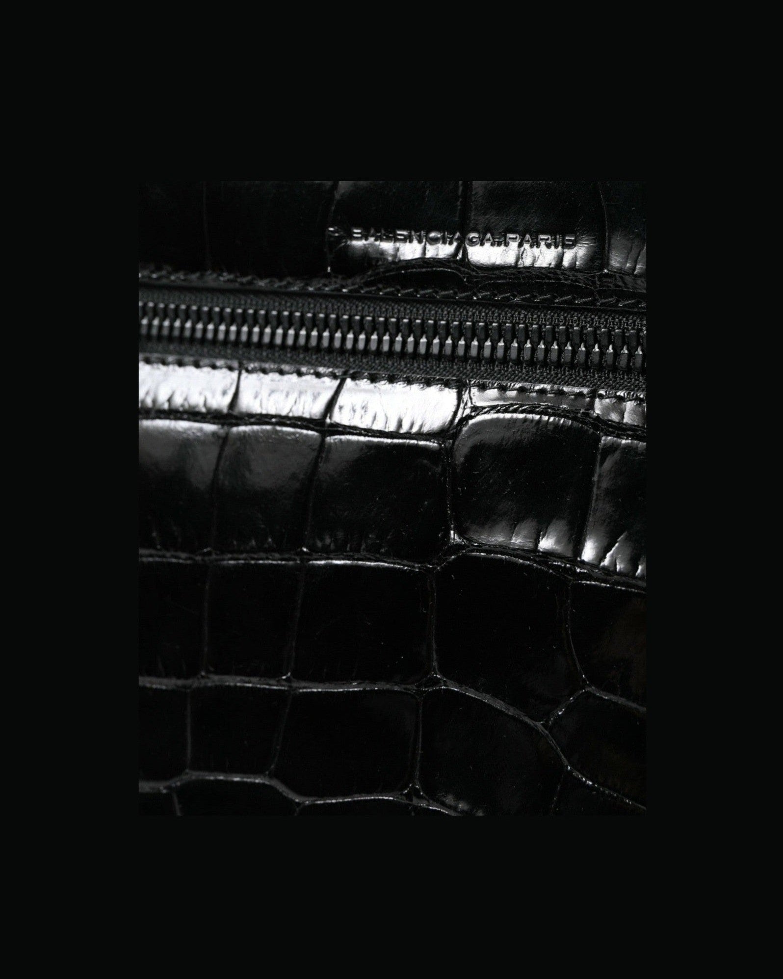 Balenciaga Elegant Exotic Leather Camera Bag Glam Steals