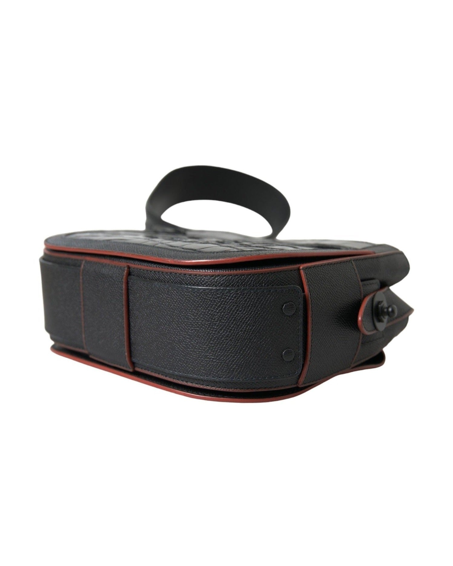 Balenciaga Elegant Exotic Leather Camera Bag Glam Steals