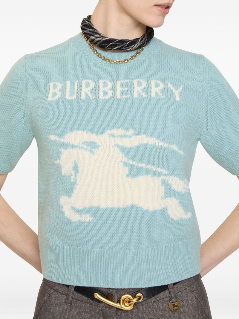 Burberry Clear Blue Polo T-shirt Glam Steals