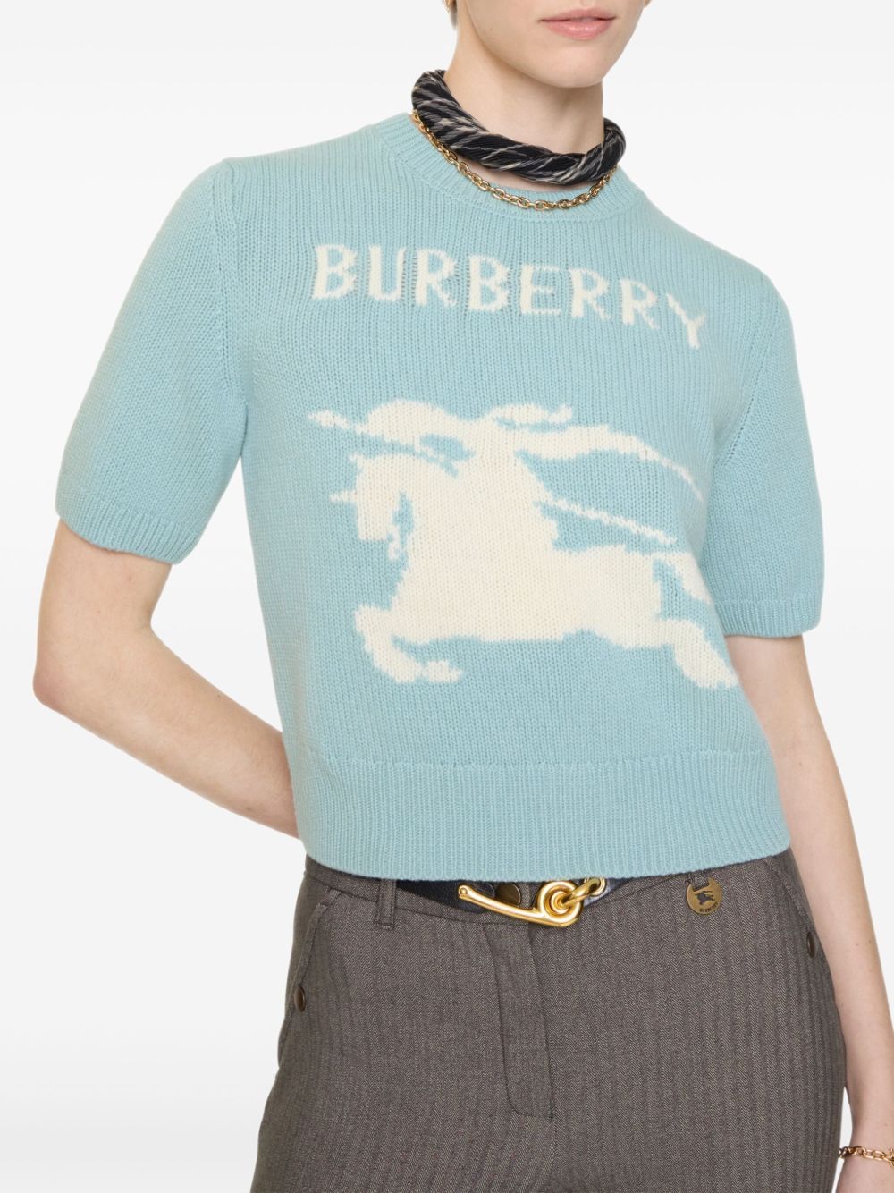 Burberry Clear Blue Polo T-shirt Glam Steals