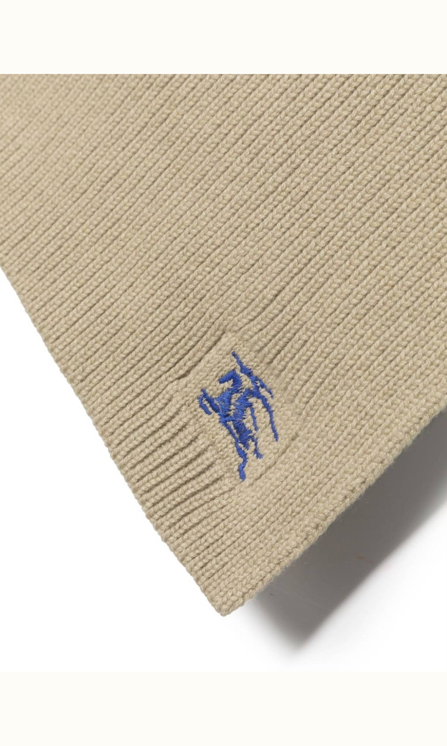 Burberry Ekd Embroidered Cashmere Scarf Glam Steals