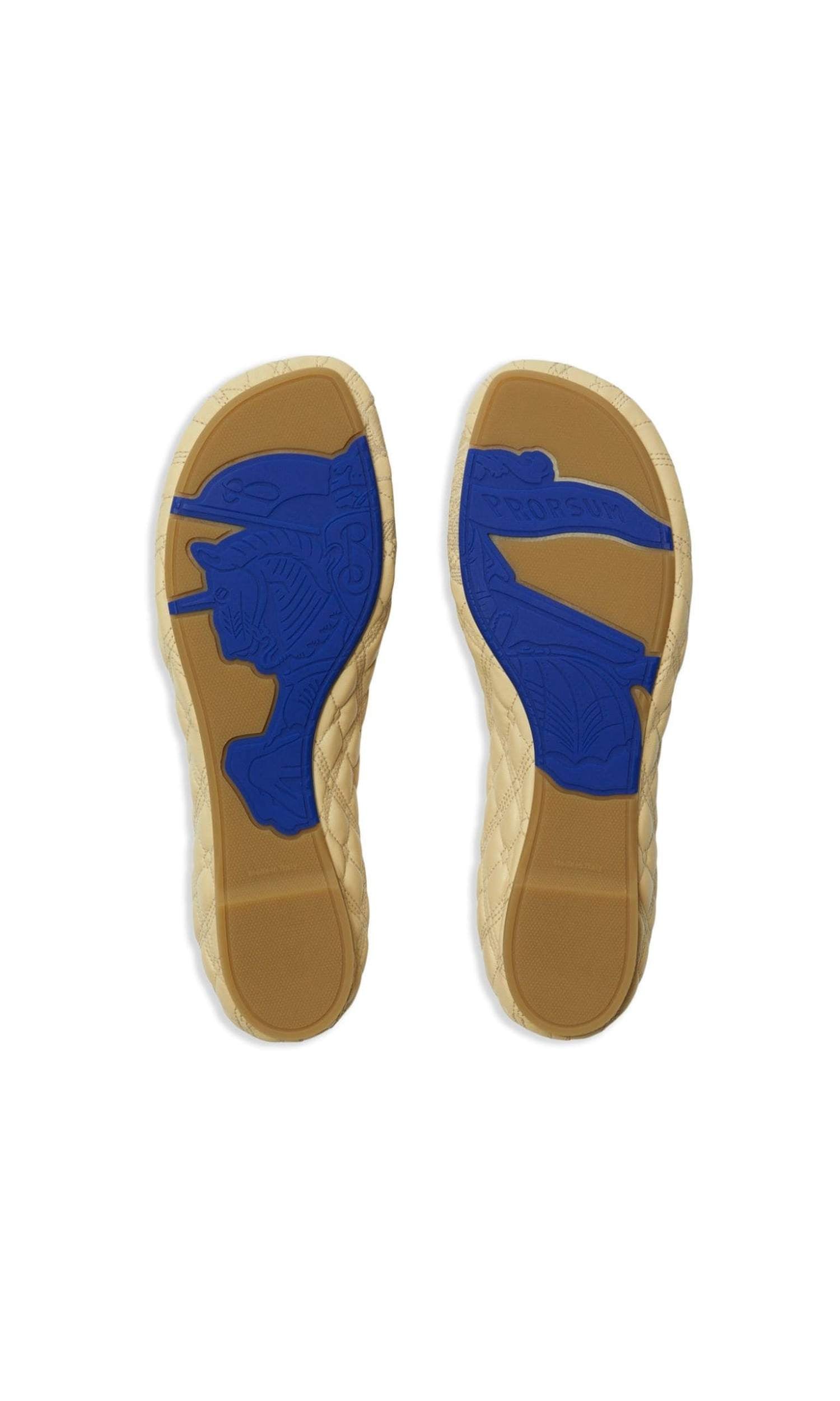 Burberry Leather Sadler Ballerinas Glam Steals