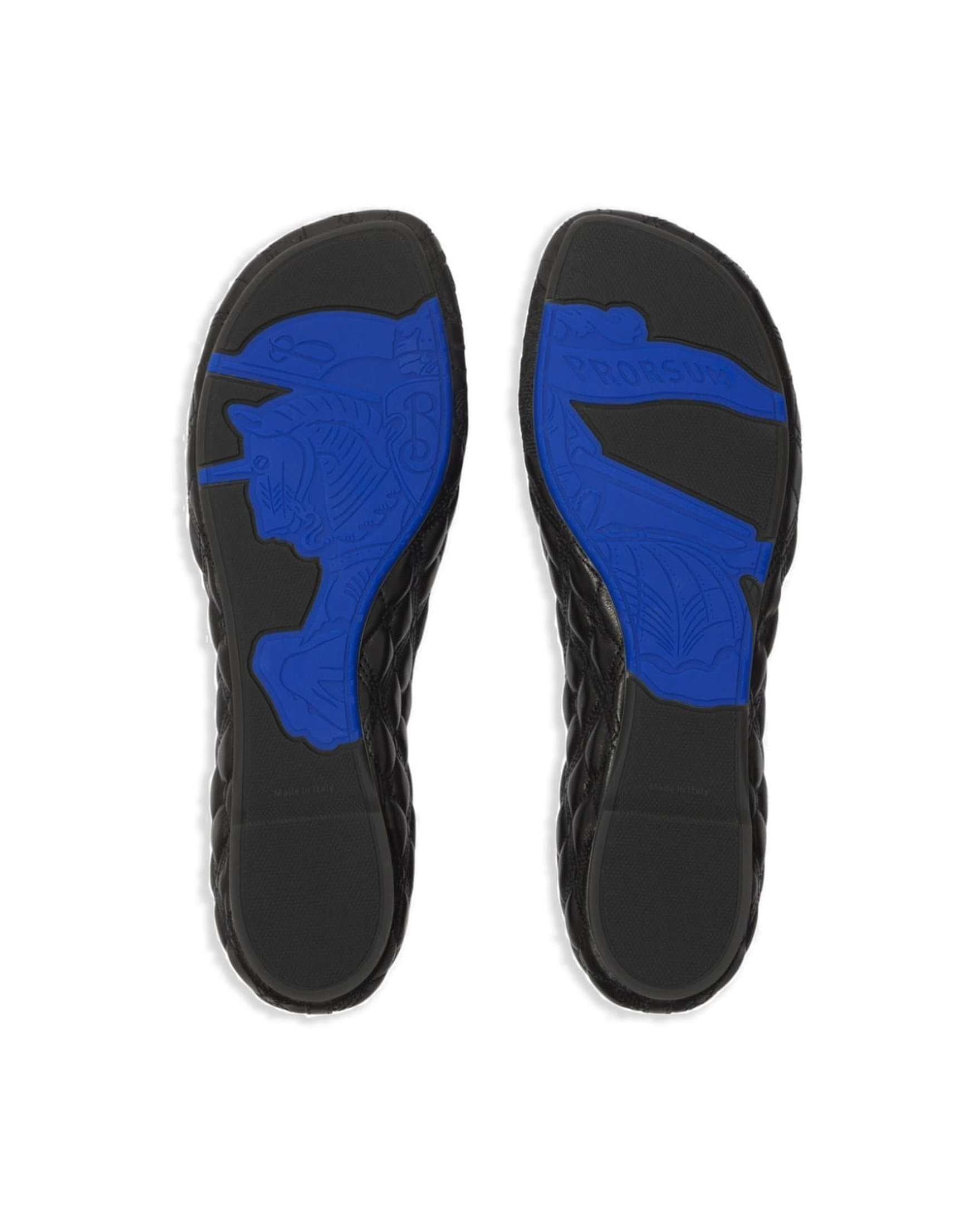 Burberry Leather Sadler Ballerinas Glam Steals