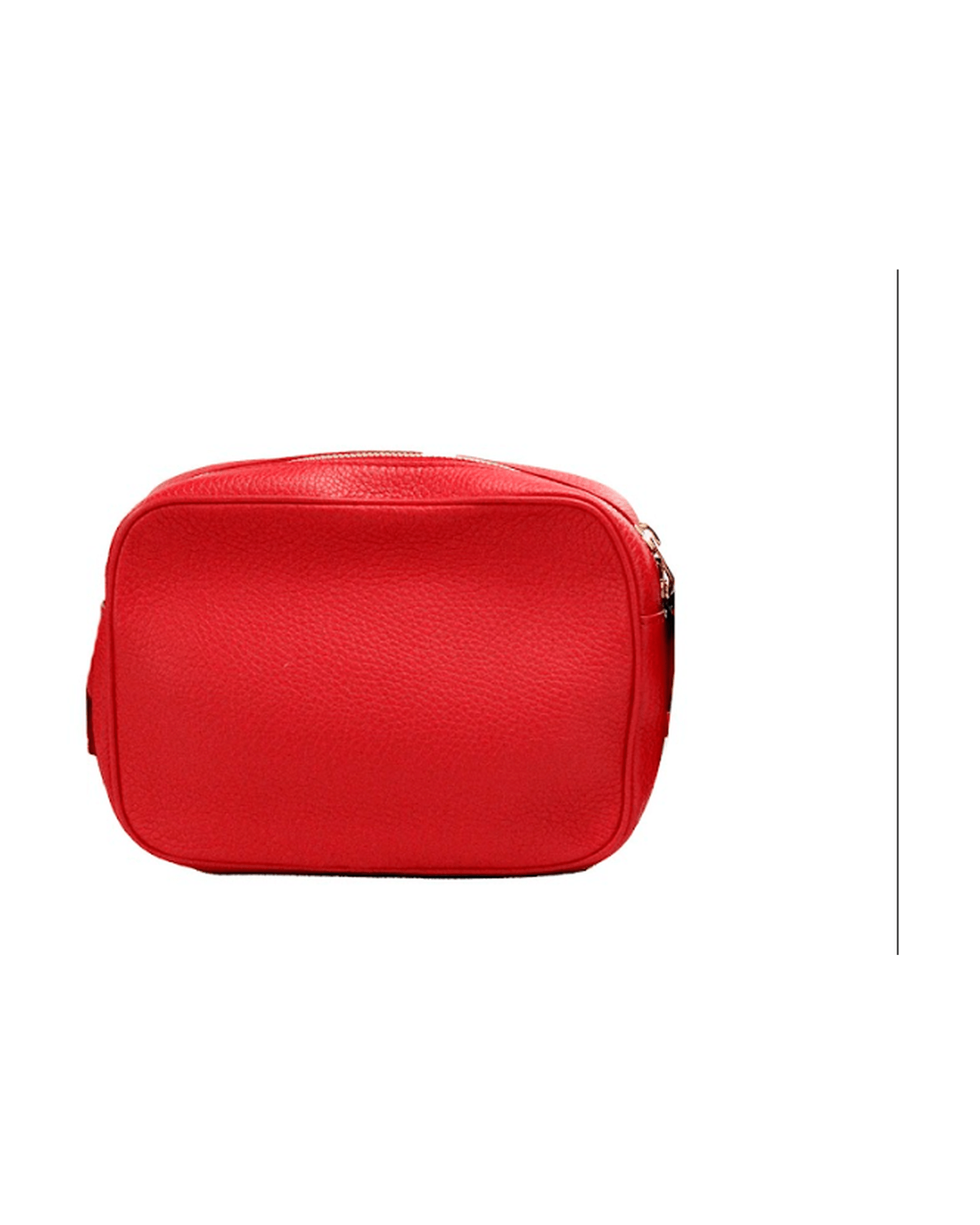 Burberry Small Branded Bright Grainy Leather Camera Crossbody Red Bag Glam Steals