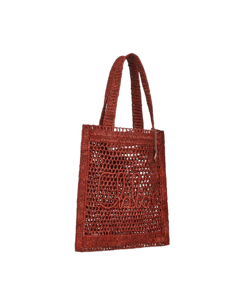 Chloé Brown Leather Bag Glam Steals