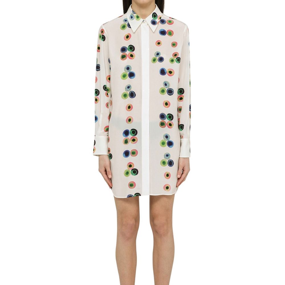 Chloé Chemisier Dress Glam Steals