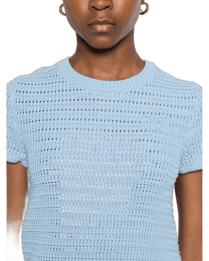 Chloé Clear Blue Top Glam Steals