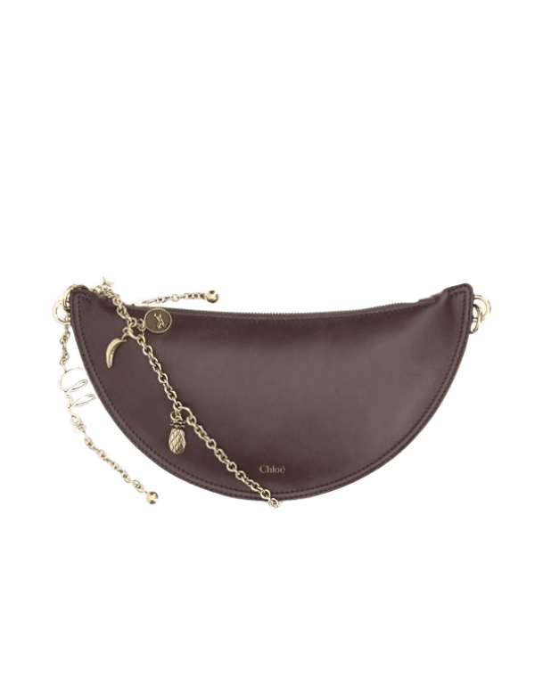 Chloé Icons Shoulder Bag Glam Steals
