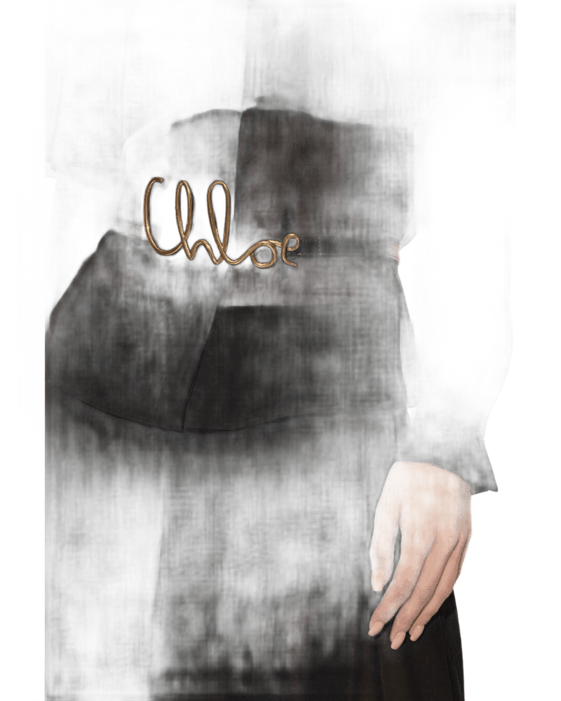 Chloé Leather Iconic Belt Glam Steals