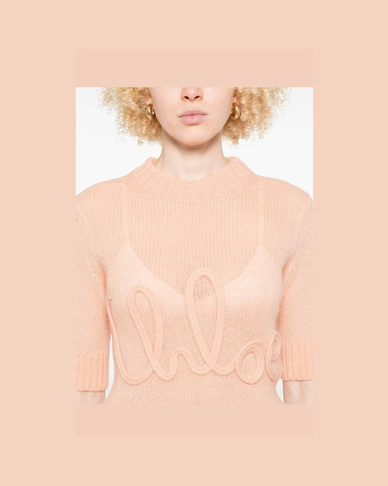 Chloé Pink Sweater Glam Steals