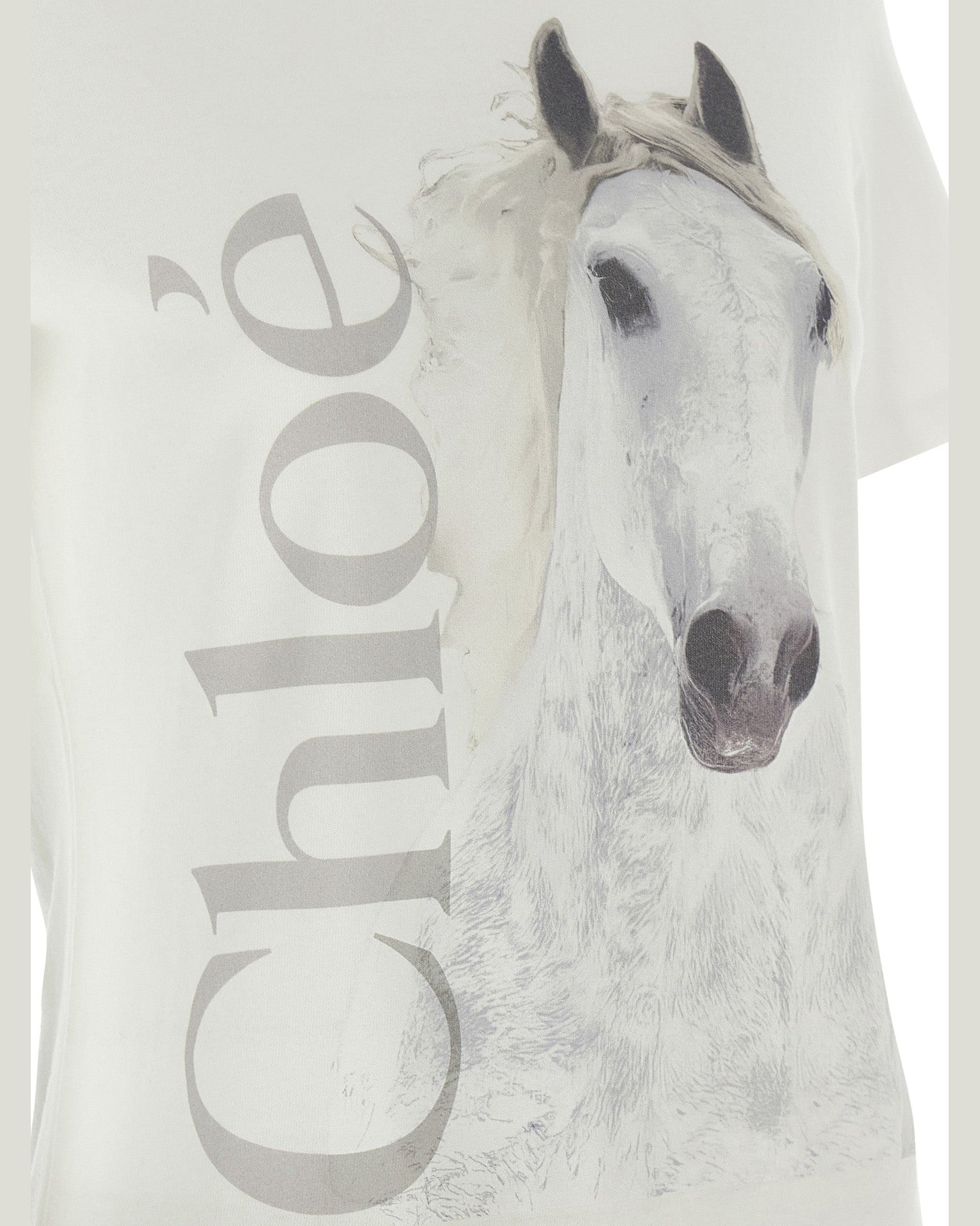 Chloé Printed T-shirt Glam Steals