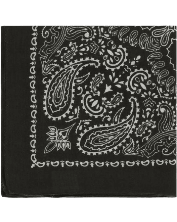 Destin Bandana Scarf