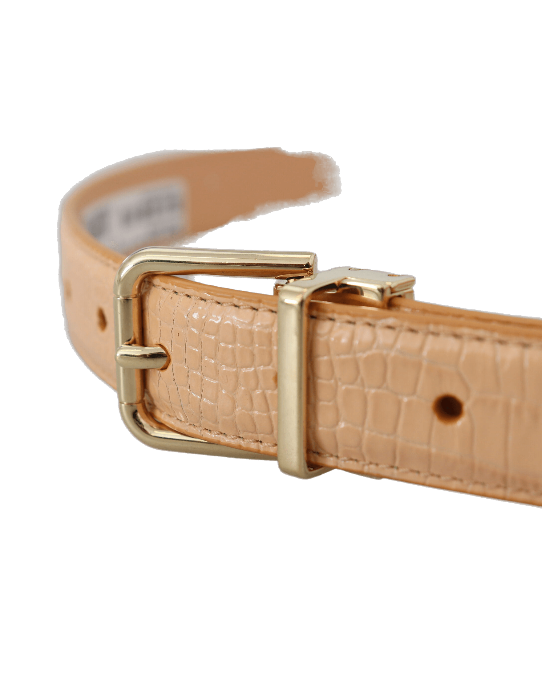 Dolce & Beige Gabbana Leather Exotic Metal Buckle Belt Glam Steals