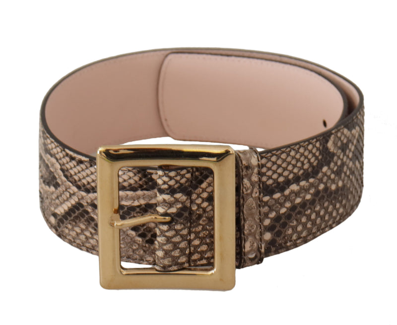 Dolce & Gabbana Beige Leather Exotic Wide Gold Metal Buckle Belt Glam Steals