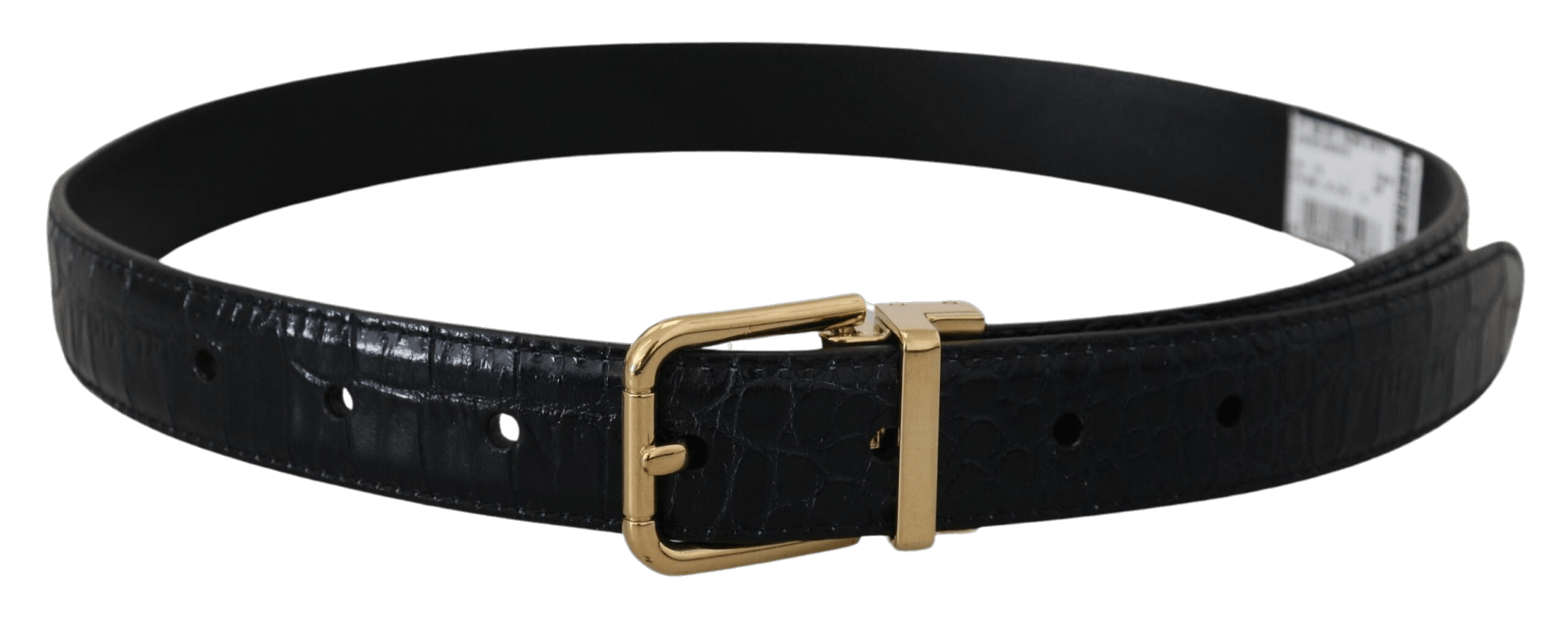Dolce & Gabbana Black Leather Exotic Gold Metal Buckle Belt Glam Steals