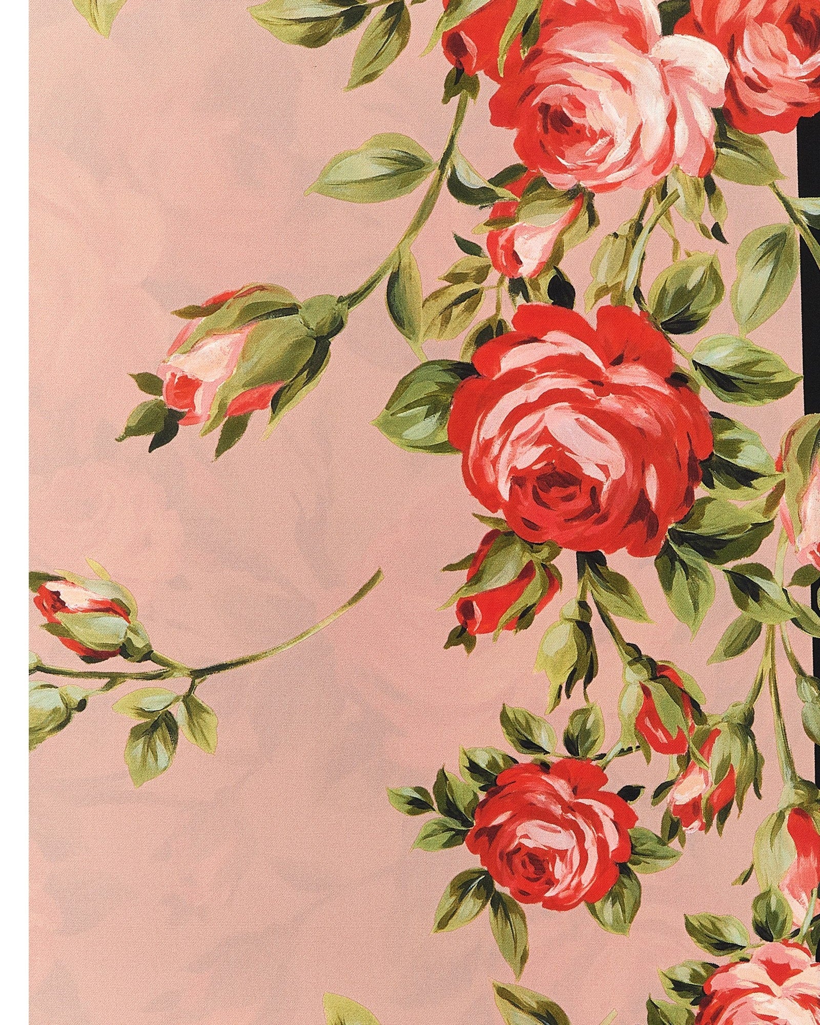 Dolce & Gabbana Bouquet Rose Scarf Scarves Hats & Gloves
