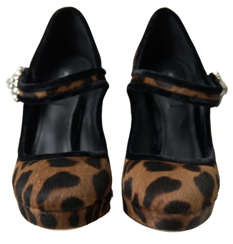Dolce & Gabbana Brown Calf Leopard Heel Mary Jane Pump Shoes Glam Steals