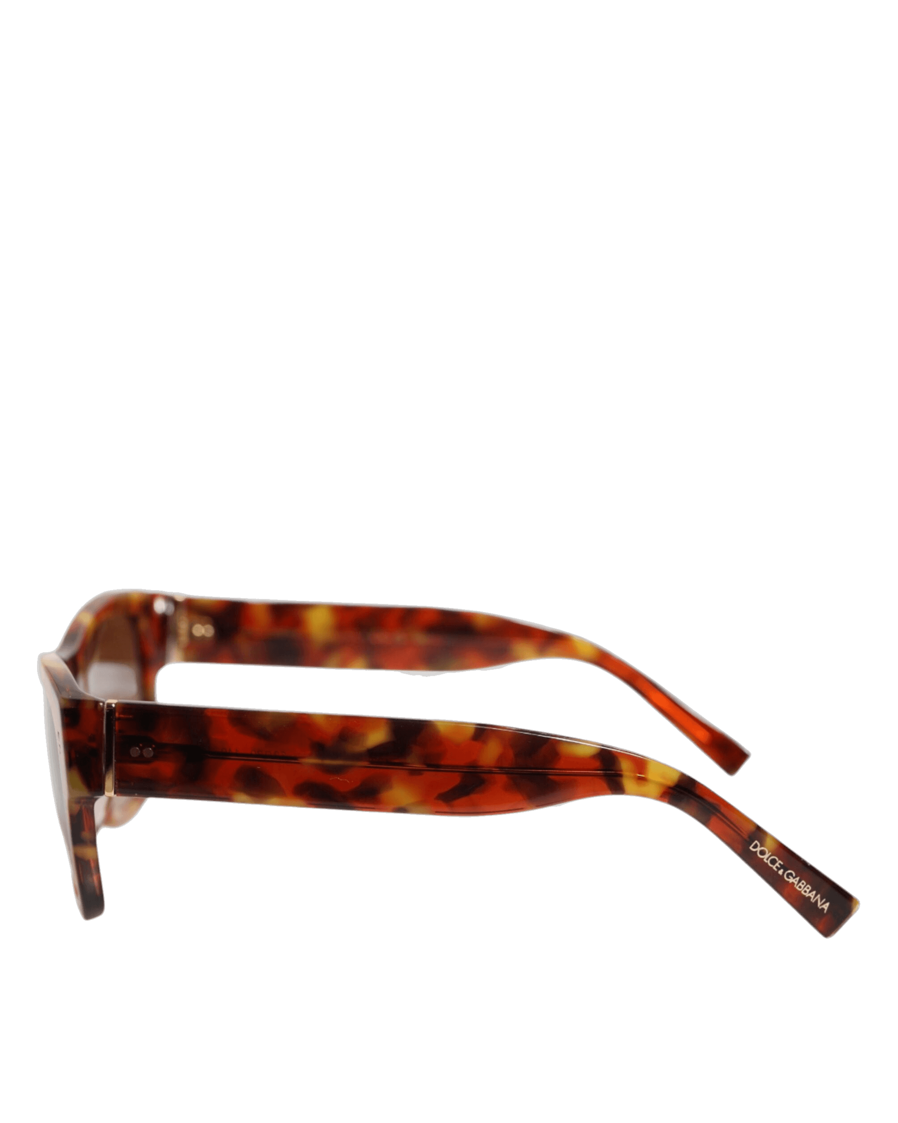 Dolce & Brown Gabbana Dg4338f Havana Full Rim Round Lenses Sunglasses Glam Steals