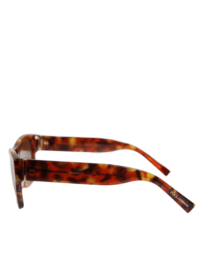 Dolce & Brown Gabbana Dg4338f Havana Full Rim Round Lenses Sunglasses Glam Steals