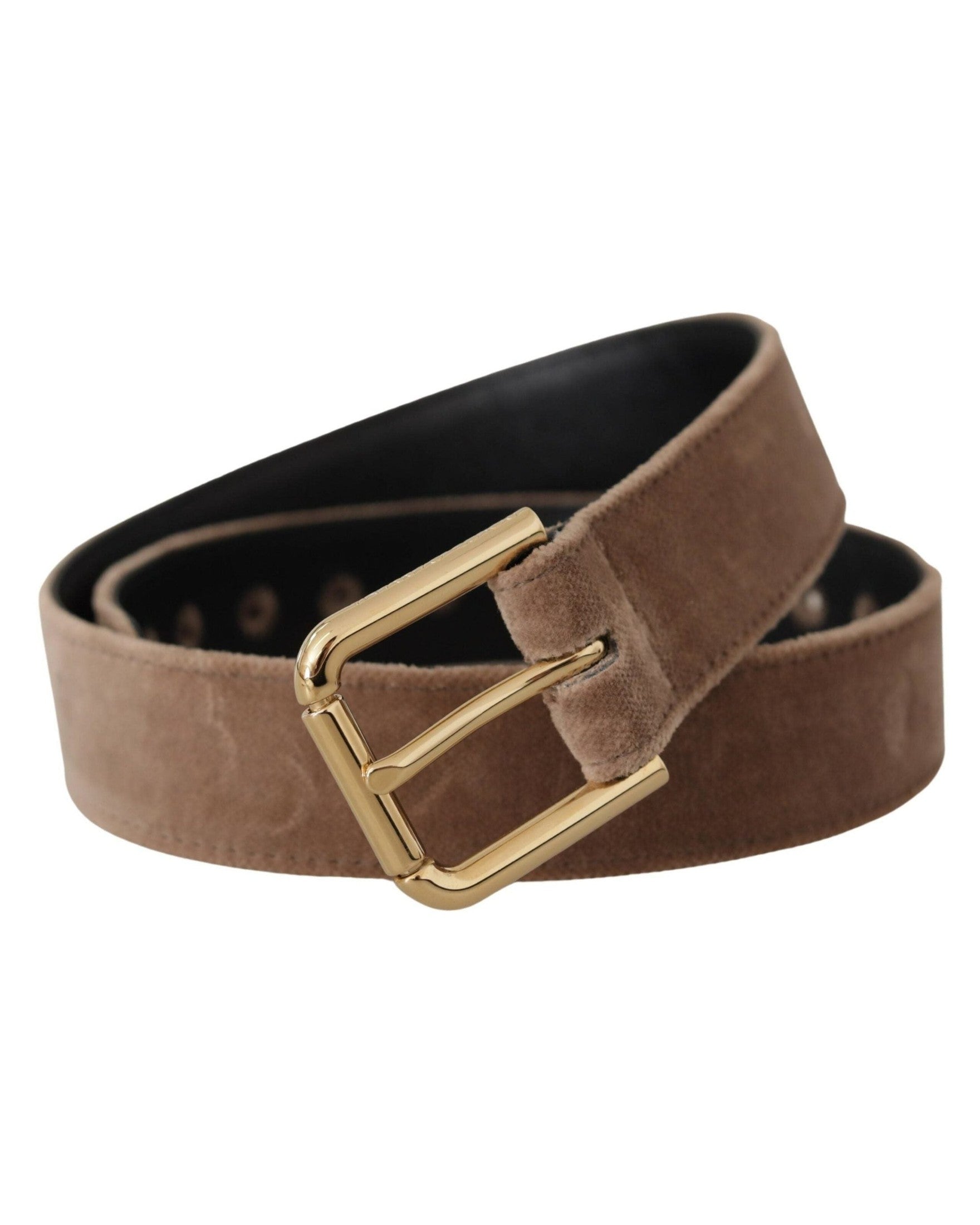 Dolce & Gabbana Brown Velvet Light Gold Tone Logo Metal Buckle Belt Belts