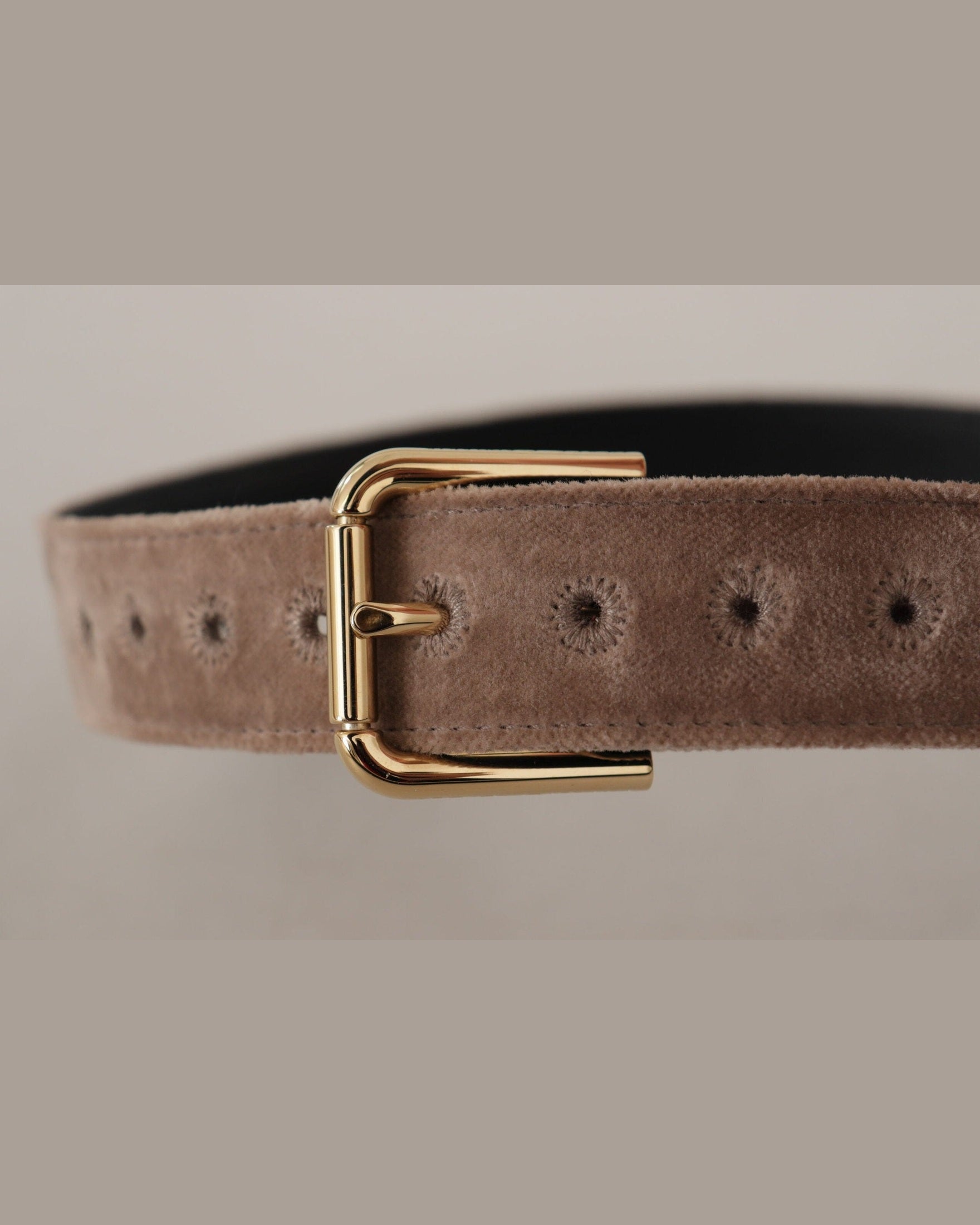 Dolce & Gabbana Brown Velvet Light Gold Tone Logo Metal Buckle Belt Belts