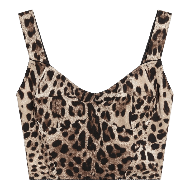 Dolce & Gabbana Charmeuse Bustier with Leopard Print Glam Steals