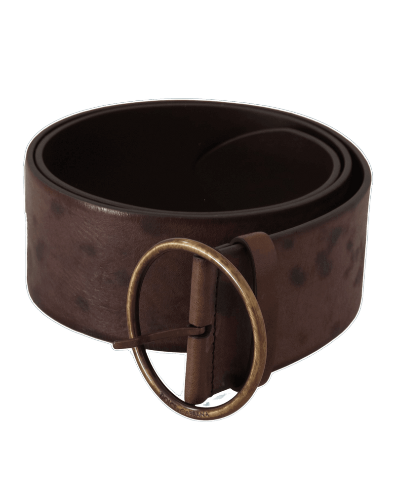 Dolce & Gabbana Dark Brown Leather Wide Calf Logo Round Buckle Belt Glam Steals